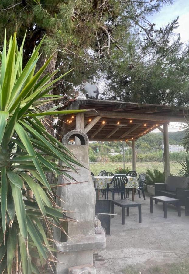 Tosk House 2 Apartment Peschici Bagian luar foto